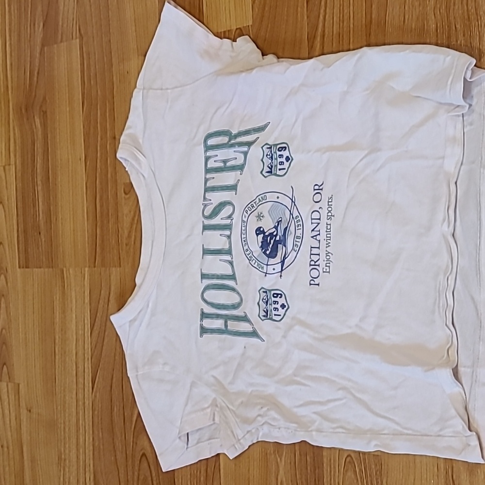 Hollister Ski Club Winter Crop Top